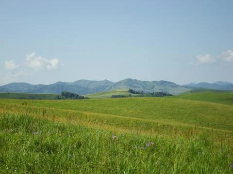 Panorama of green fields on a background of mountains and blue sky Stock Photos