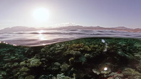 Panorama of half underwater sunset scene with calm ocean surface above shallow Видео 324554145