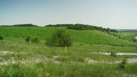 Panorama of hilly meadows, forests, flowers and vegetation. Stock Footage 231737368