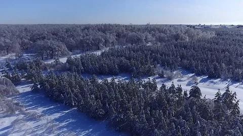 Panorama of the icy forest Stock Footage 85832692