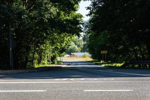 Panorama of intersection in forested green area in western poland Foto stock