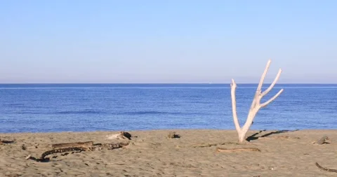 Panorama of italian beach. Stock Footage 138174882