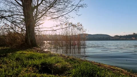 Panorama of the lake with reeds Stock Footage 269772995