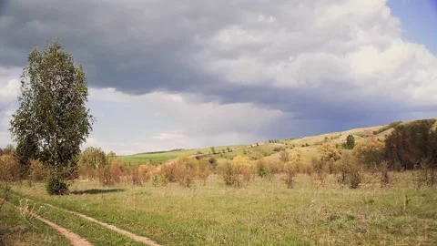Panorama of the landscape. forest area. Stock Footage 194805764
