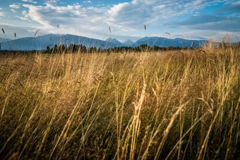 Panorama landscape Stock Photos