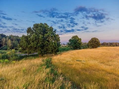 Panorama of landscape sunset over the fields Stock Photos