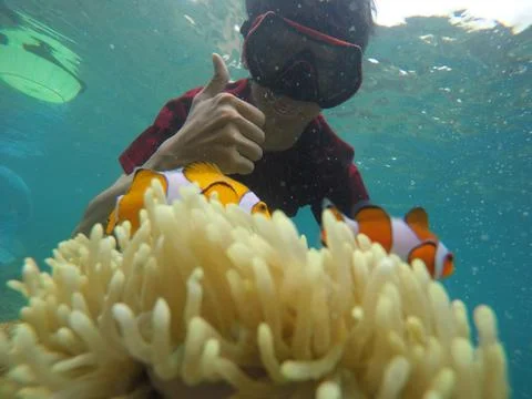 Panorama laut Stock Photos