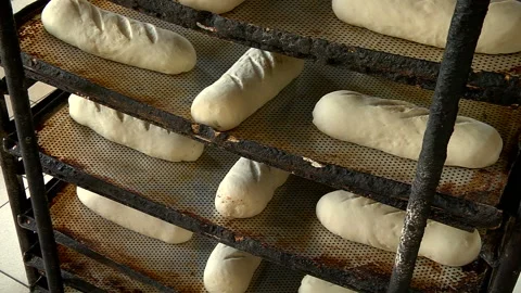 Panorama of the molded bread Stock Footage 99613470