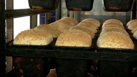 Panorama of the molded bread Stock Footage 99613498