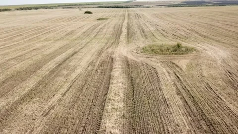 Panorama in motion view of the beveled farm fields in late summer. Video stock 137864153