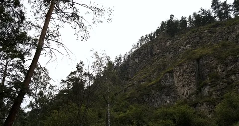Panorama of mountain elevation, Russian nature, mountain Altai, deep forest Stock Footage 118297267