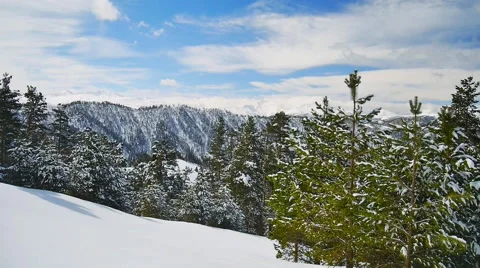 Panorama of mountain forests and footpaths in winter Stock Footage 50764926
