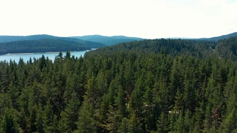 Panorama of mountain landscape pine forest, hilly mountains and blue lake Dospat Stock Footage 123540559