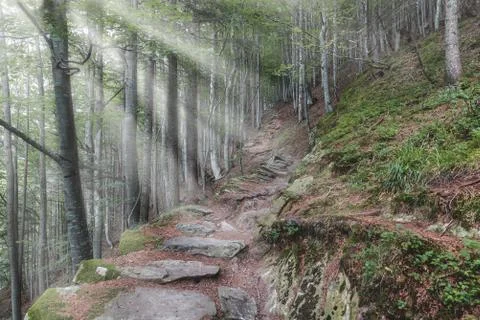 Panorama of a mountain path with sunbeams Stock Photos