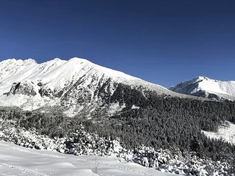 Panorama of a mountain range covered with a large amount of snow Stock Photos