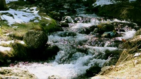 Panorama of a mountain river Stock Footage