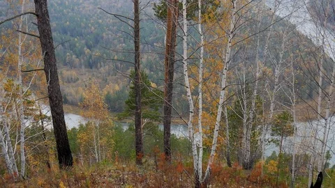 The panorama of the mountain river Stock Footage 81915559