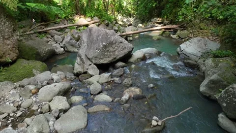 Panorama of a mountain river hidden in the rainforest jungle Stock Footage 267828356