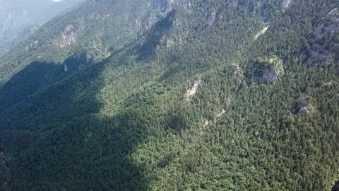 Panorama of a Mountain Slope with a Forest Stock Footage 237986761