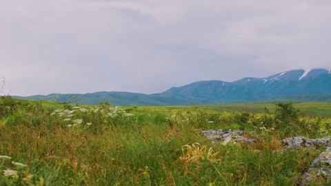 Panorama of a mountain valley in spring in cloudy weather Stock Footage 111978932