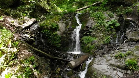 Panorama of mountain waterfall in forest in clear weather from the height Video stock 116562193