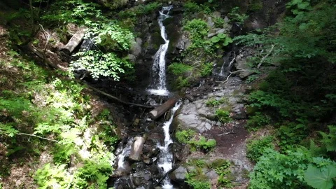 Panorama of mountain waterfall in forest in clear weather from the height Stock Footage 116562211