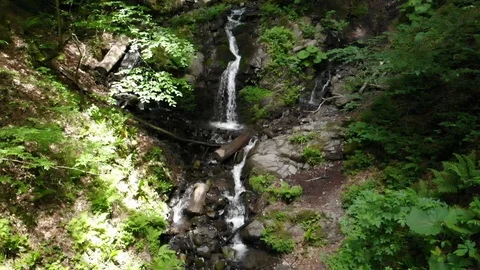 Panorama of mountain waterfall in forest in clear weather from the height Video stock 116562225