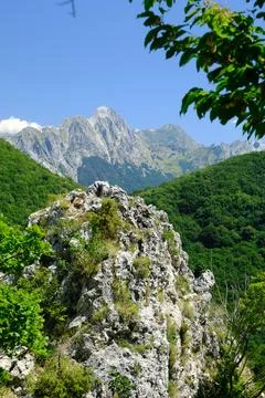 Panorama of mountains. Stock Photos