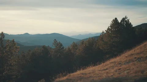 Panorama of the mountains, Pine forest Stock Footage 151900775