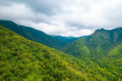 Panorama of Mountains. Under the clouds. Green forest. Scenic aerial view Stock Photos