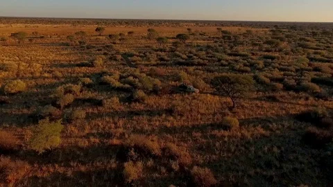 Panorama of Namibia savannah at sunset and people on an off-road car. Stock Footage 77507563