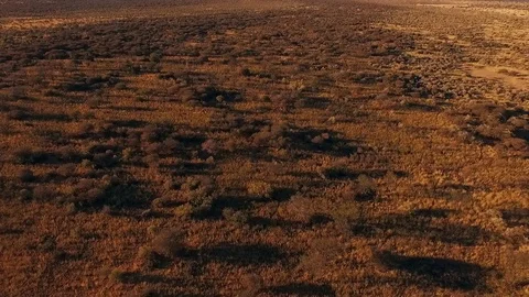 Panorama of the nature of Africa at sunset. Stock Footage