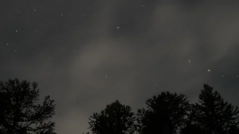 Panorama of the night sky in the forest Stock Footage 163381003