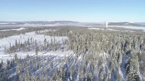 Panorama of Norway. Trees, forests, winter, drone shots Video stock 78030674