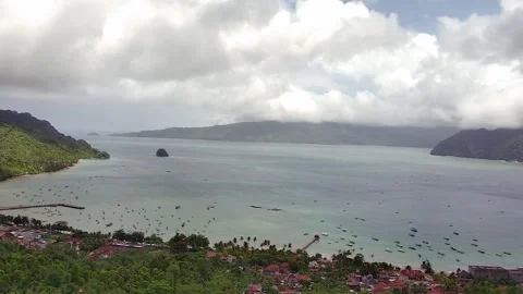 Panorama ocean and tree Stock Footage 241398550