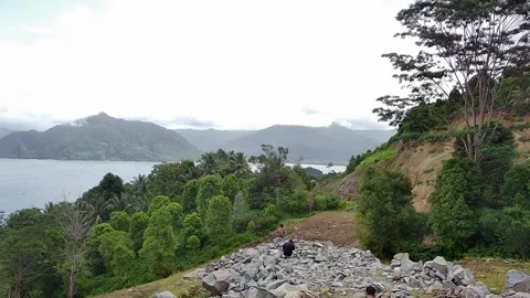 Panorama ocean and tree Stock Footage 241398673