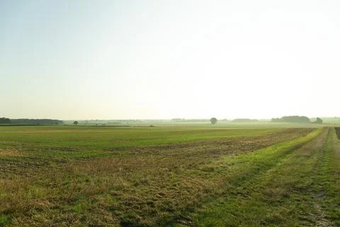 Panorama over fields Landscape in winter Stock Photos