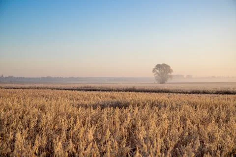 Panorama over fields Landscape in winter Stock Photos