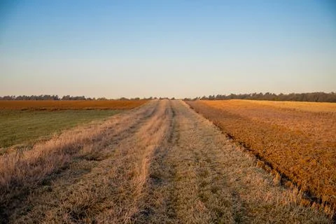 Panorama over fields Landscape in winter Foto stock