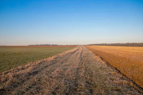 Panorama over fields Landscape in winter Foto stock