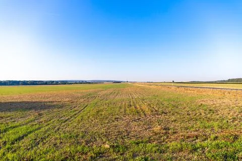 Panorama over fields Landscape in winter Stock Photos