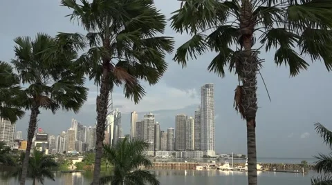 Panorama with palm trees. La Cinta Costera, Panama City, Panama Stock Footage 47899342