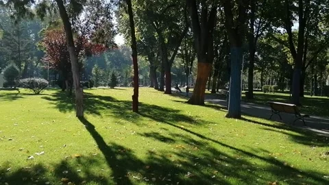 Panorama in the park with the shadows of the trees and the sun Stock Footage 143763875