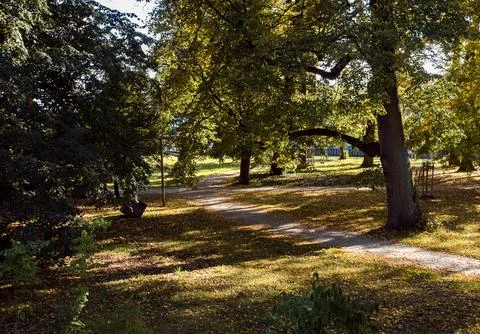 Panorama of park walking path going along trees and bushes Foto stock
