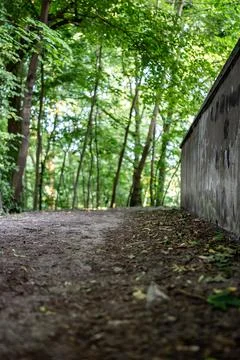 Panorama of park walking path going along trees and bushes Foto stock