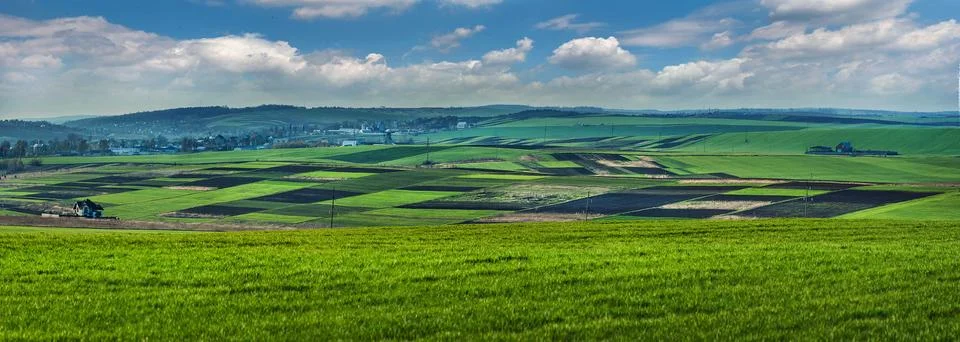 Panorama of patchwork plots of land from the side of a green field of winter  Fotos de archivo