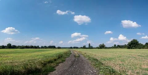 Panorama of path in rural landscape with distant trees Foto stock