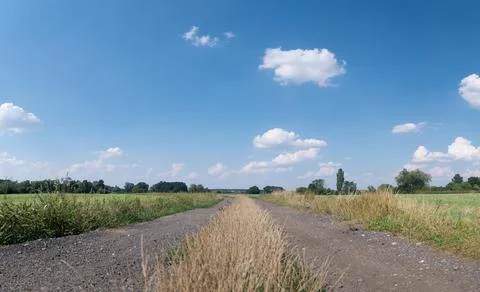 Panorama of path in rural landscape with distant trees Foto stock