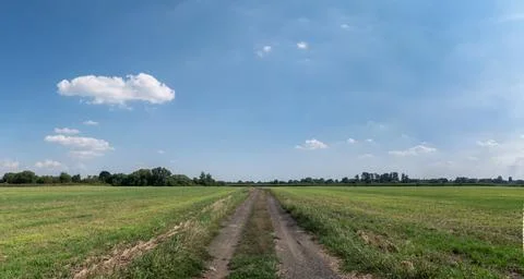 Panorama of path in rural landscape with distant trees Foto stock