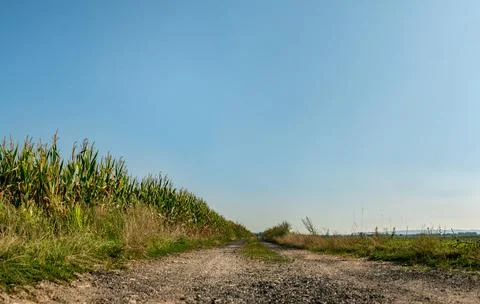Panorama of path in rural landscape Stockfoto's